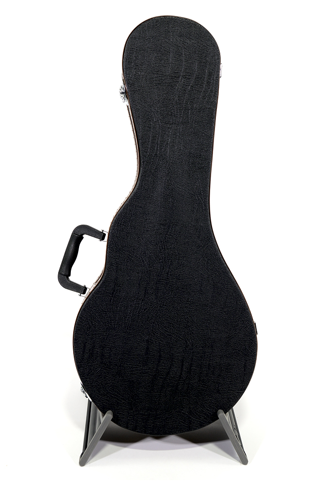 013 B - WCHK601 - Mandolína F