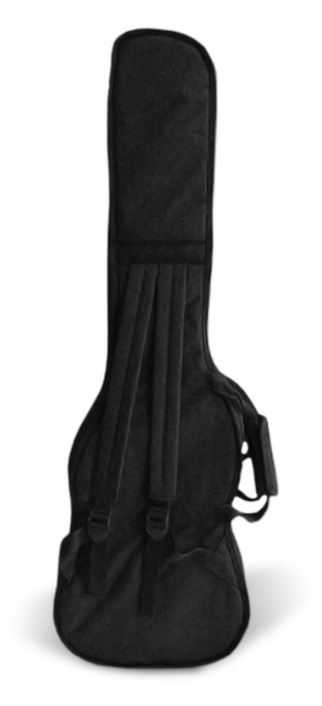 0014 - EG101 - Double elektrická kytara